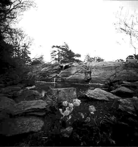 pinhole photograph