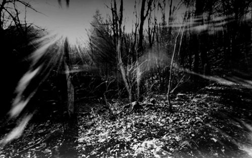 pinhole photograph