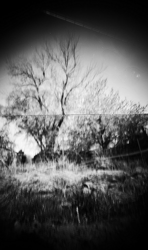 pinhole photograph