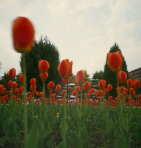 pinhole photograph