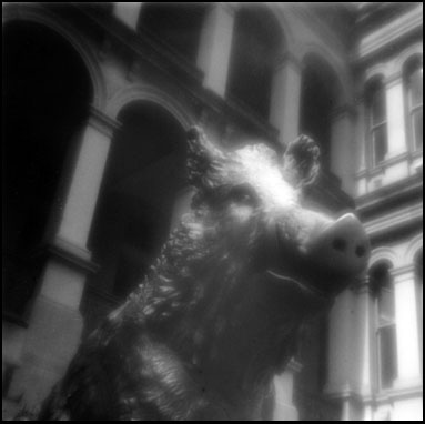 pinhole photograph