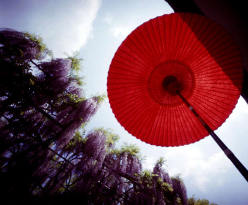 pinhole photograph