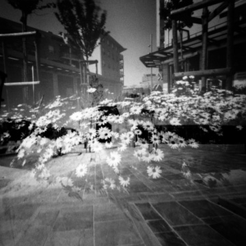 pinhole photograph