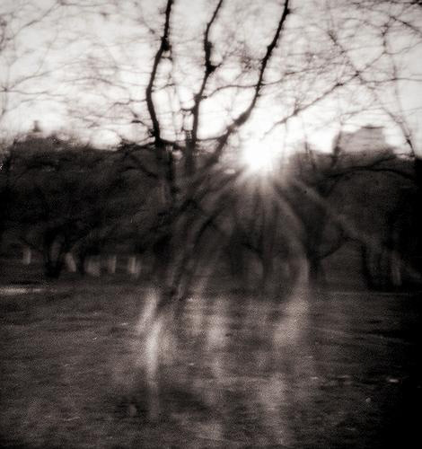 pinhole photograph