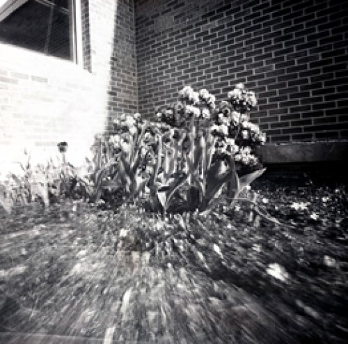 pinhole photograph