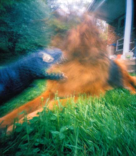 pinhole photograph