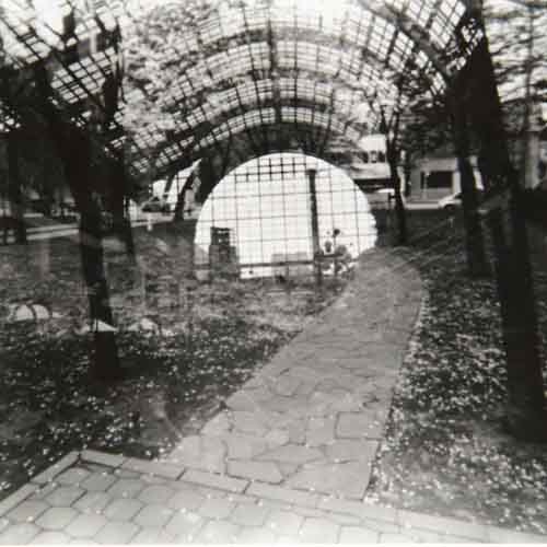 pinhole photograph