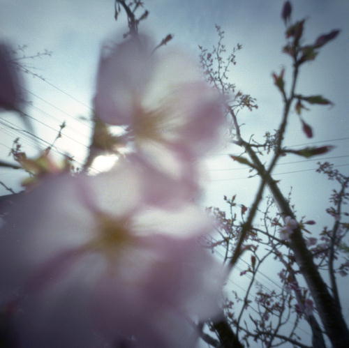 pinhole photograph