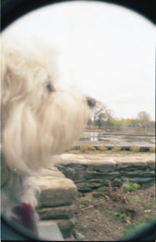 pinhole photograph
