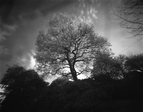 pinhole photograph
