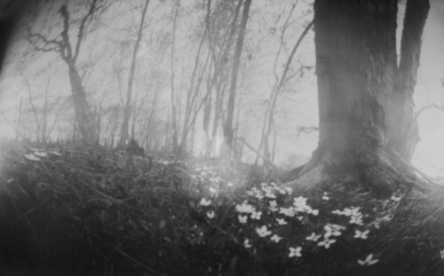 pinhole photograph