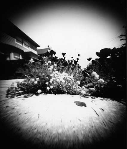 pinhole photograph