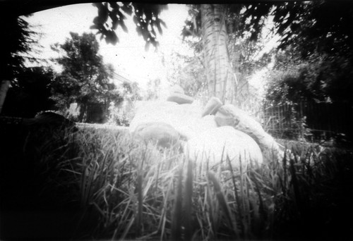 pinhole photograph