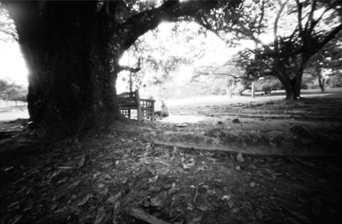 pinhole photograph