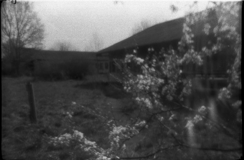 pinhole photograph