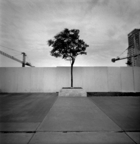 pinhole photograph