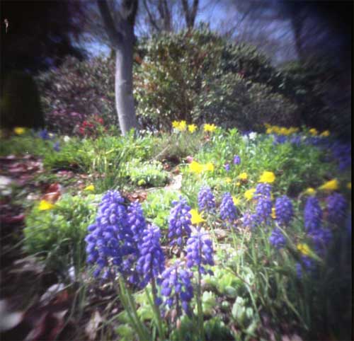 pinhole photograph