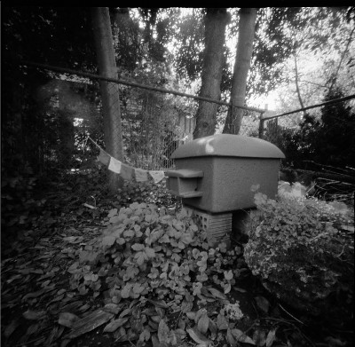 pinhole photograph