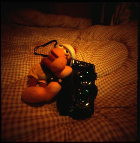 pinhole photograph