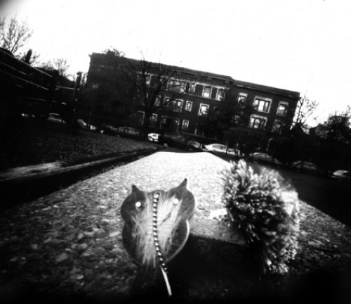 pinhole photograph