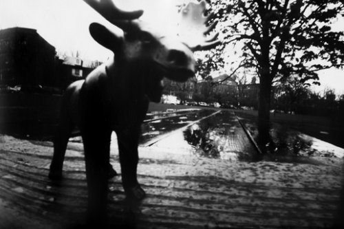 pinhole photograph