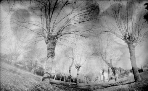 pinhole photograph