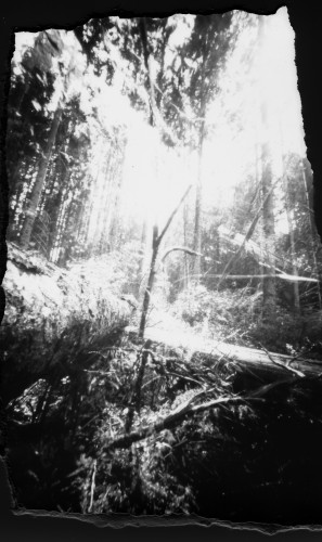 pinhole photograph