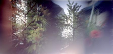 pinhole photograph