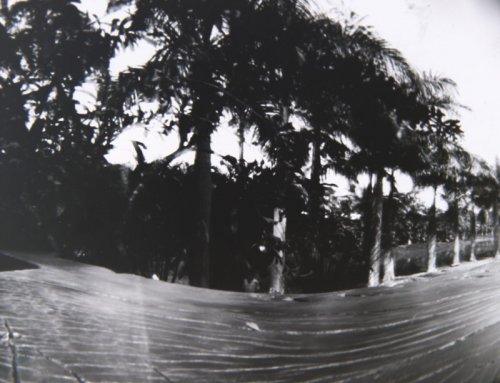 pinhole photograph