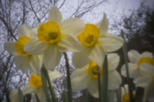 pinhole photograph