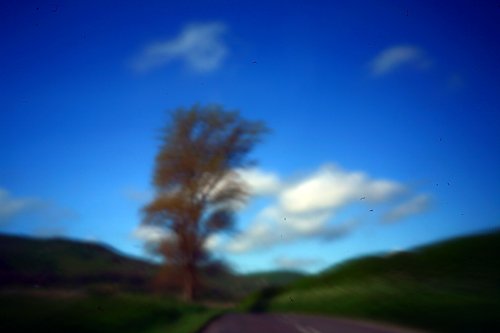 pinhole photograph