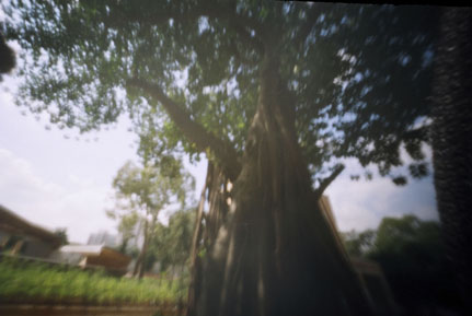 pinhole photograph