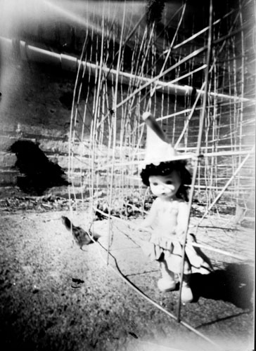 pinhole photograph