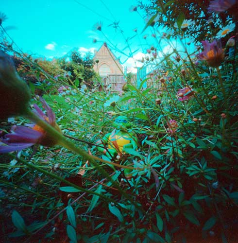 pinhole photograph