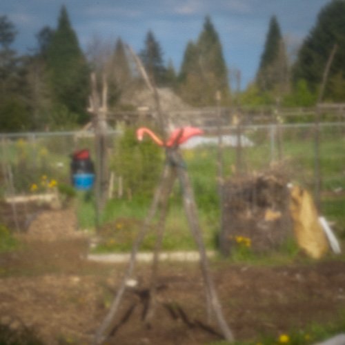 pinhole photograph