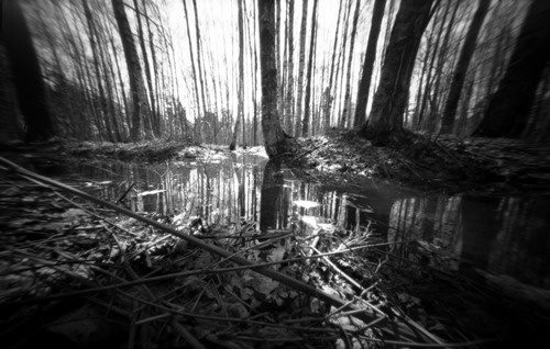 pinhole photograph