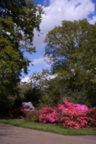 pinhole photograph