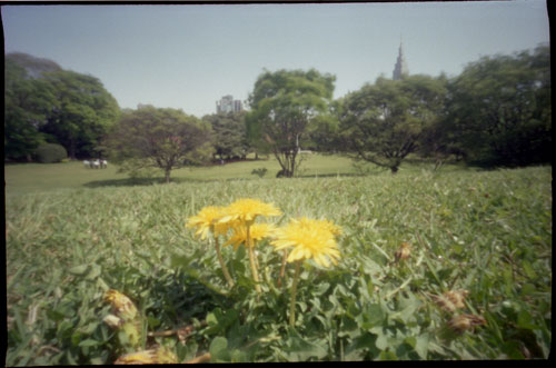 pinhole photograph