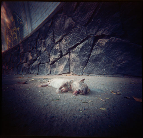 pinhole photograph