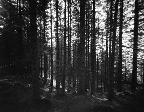 pinhole photograph