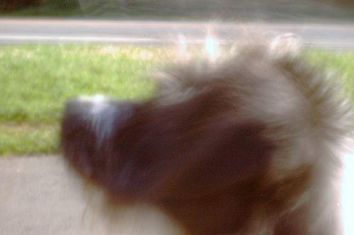pinhole photograph