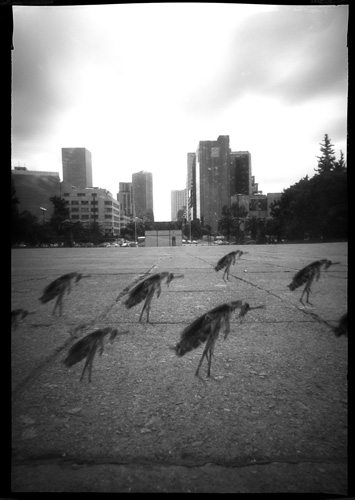 pinhole photograph