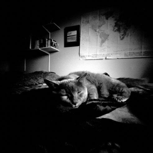 pinhole photograph