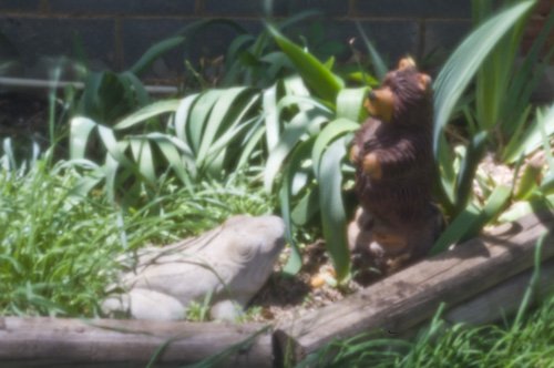 pinhole photograph