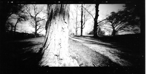 pinhole photograph