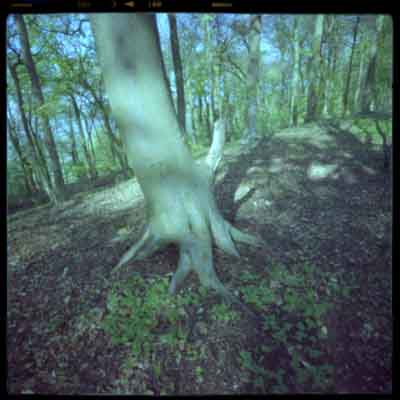 pinhole photograph