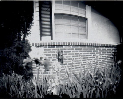 pinhole photograph