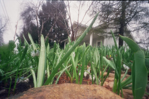 pinhole photograph