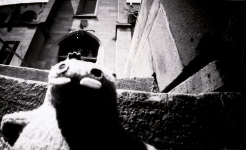 pinhole photograph