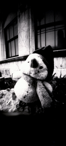 pinhole photograph